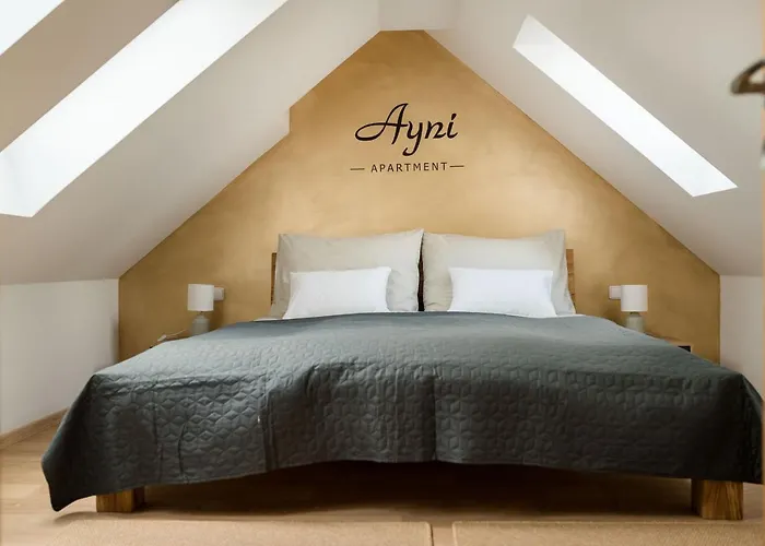 Appartement Ayni *